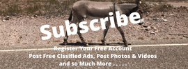 Subscribe to bullhead city guide